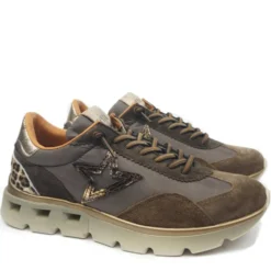 CETTI SHOES SCARPETTA TENNIS DECORAZIONE ANIMALIER STELLA
